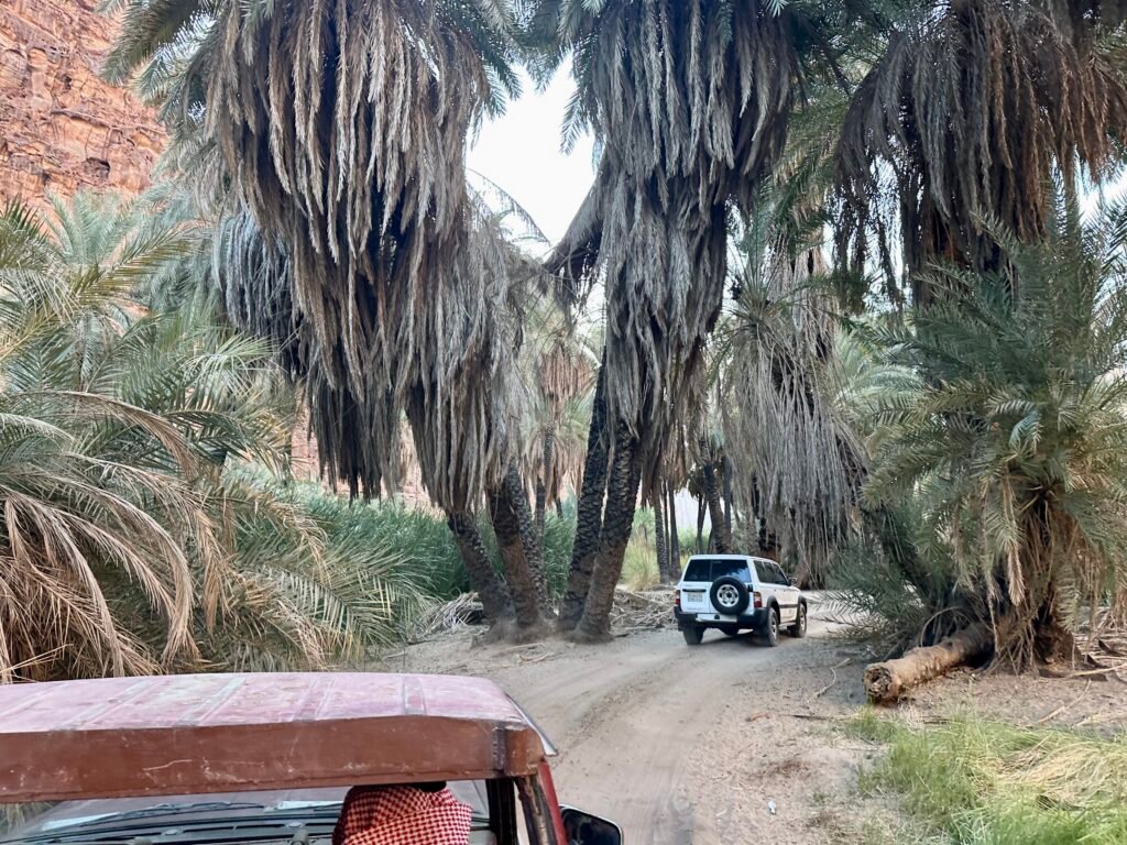 saoedi arabië 2025 11 06 (131)